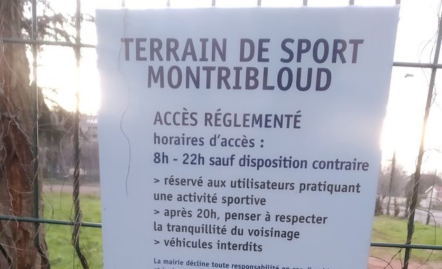 Photo de Terrain de sport de Montribloud