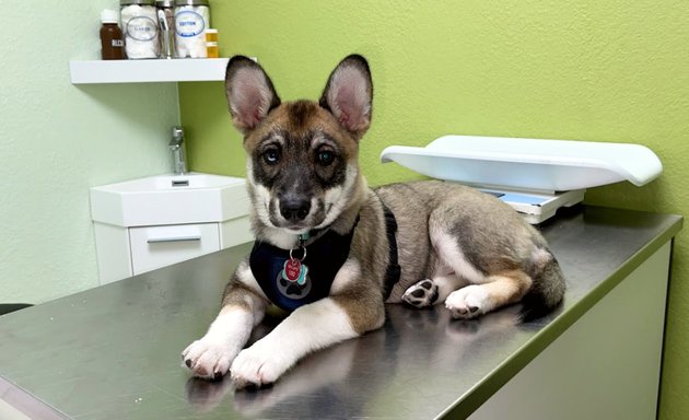 Photo of Miami Pet Clinic