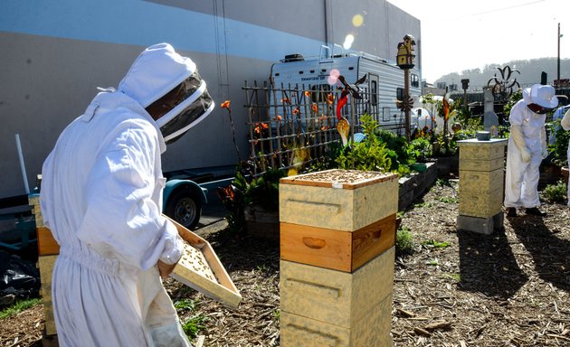 Photo of San Francisco Honey & Pollen Company