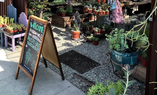 Photo of Rusty Gate Succulents