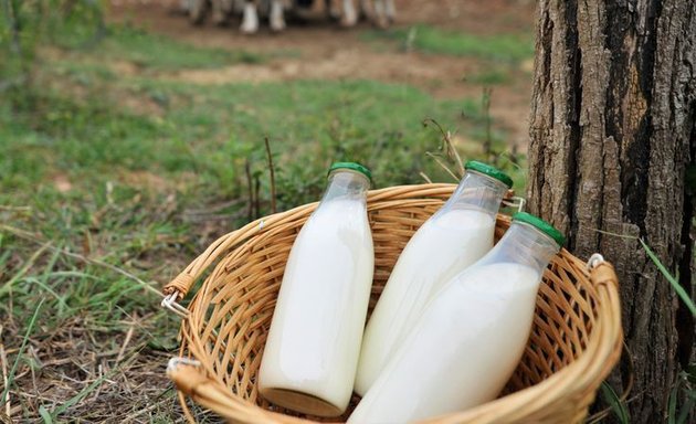 Photo of Lakshmi Fresh Cow Milk