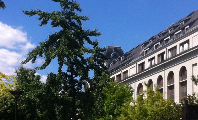 Photo de Université de Paris