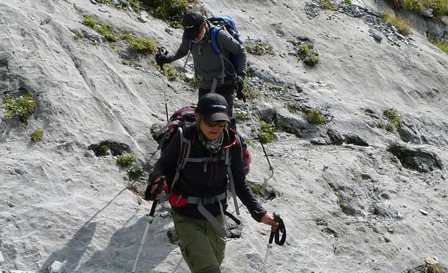 Photo of Mountain Tracks