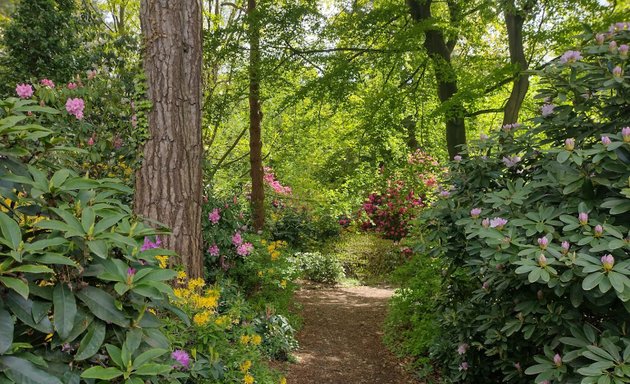 Photo of Coombe Wood Gardens