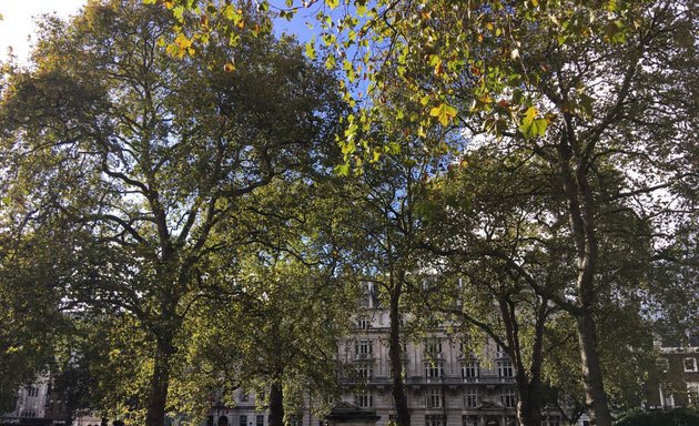 Photo of Cavendish Square Gardens