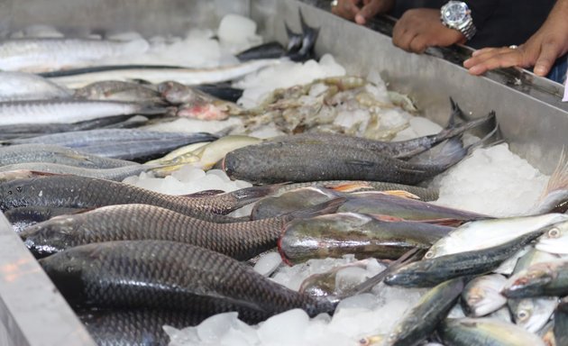 Photo of moz Fisheries (always Fresh)
