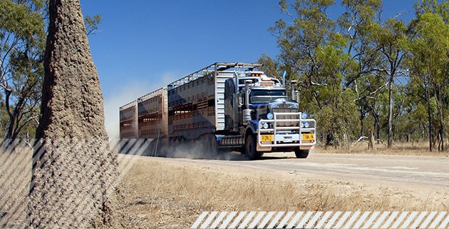 Photo of Haulmark Trailers