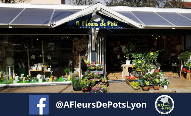 Photo de A Fleurs de Pots LYON 9 ème