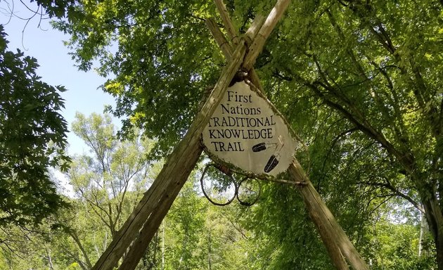 Photo of Grizzly Bear Exhibit