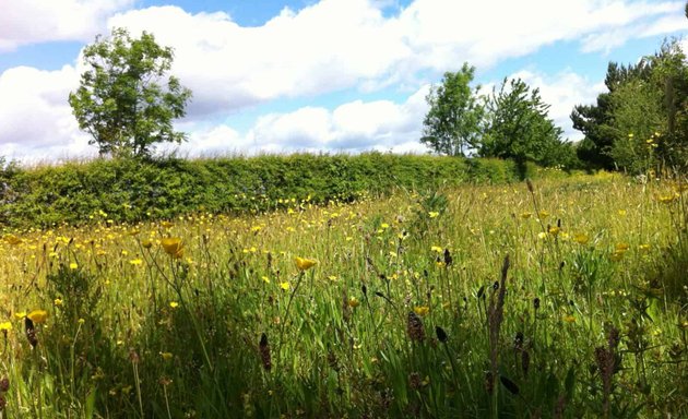 Photo of Field Studies Council - London: Bushy Park