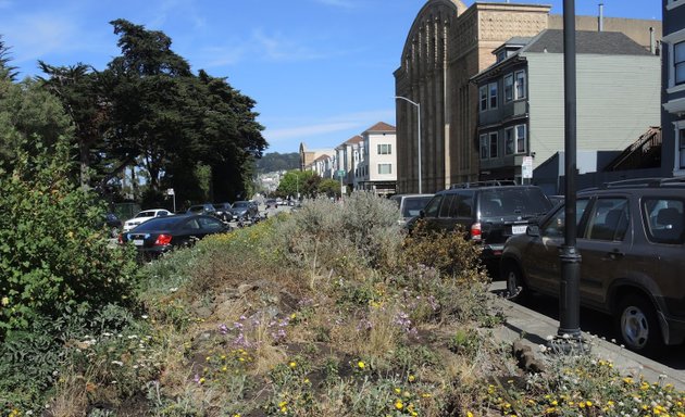 Photo of Frederick & Arguello Native Plant Street Park