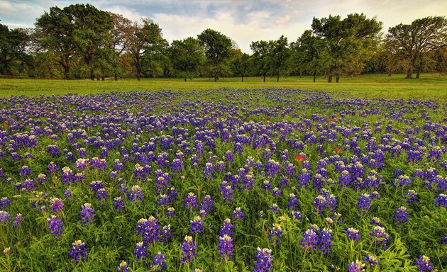 Photo of Texas Resources Group