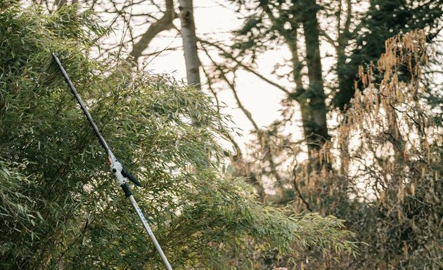 Foto von Ab durch die Hecke!