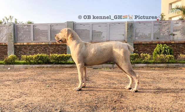 Photo of OB kennel 🇬🇭