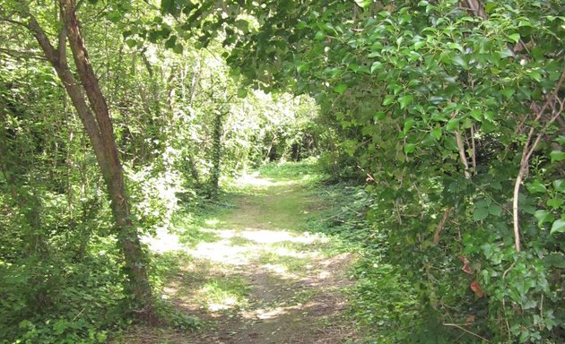 Photo of Garthorne Road Nature Reserve