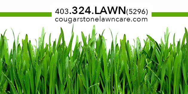 Photo of Cougarstone Lawn Care