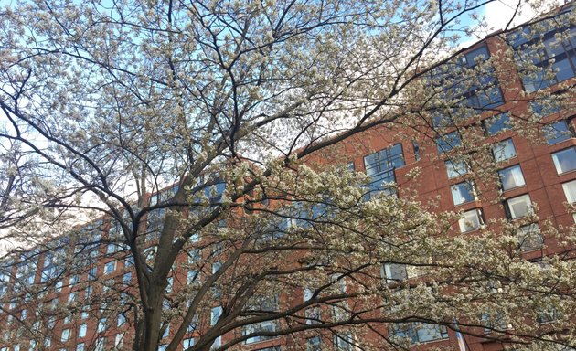 Photo of Four Seasons Place Boston