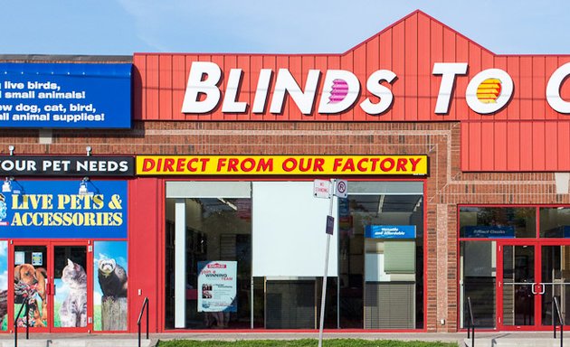 Photo of Blinds To Go