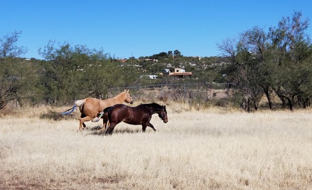 Photo of Milagro Stables