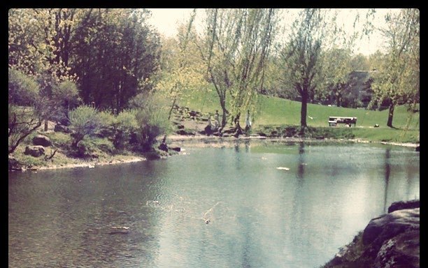 Photo of Parc Beaubien