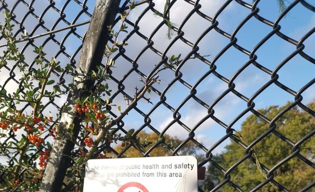 Photo of Hylands Park Tennis Court