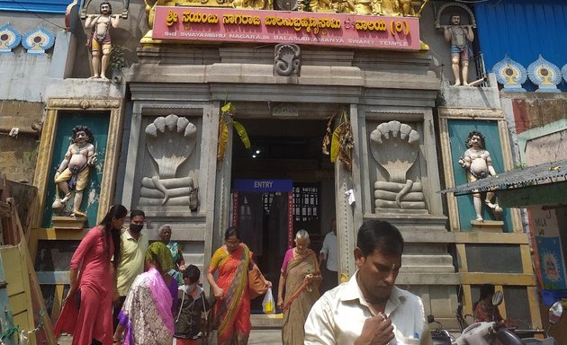 Photo of Sri Swayambhu Nagaraja Bala Subramanya Swamy Temple