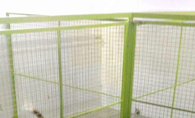 Photo of Bhubhu House Pet Care Centre