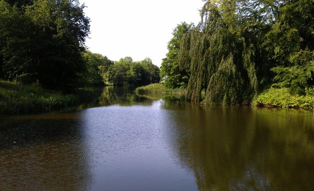 Foto von Trieb und Traum