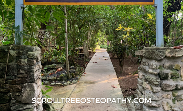 Photo of Scroll Tree Osteopathy