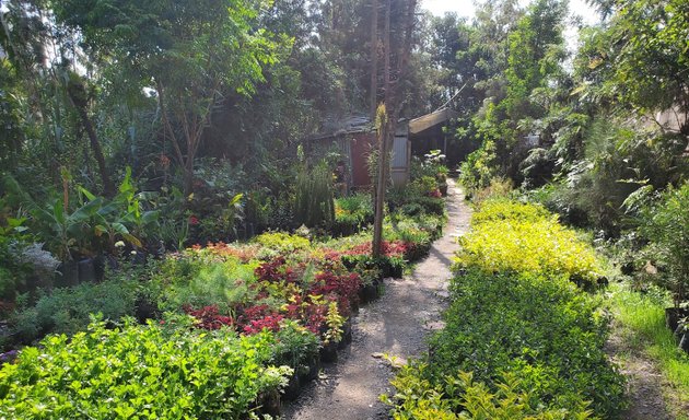 Photo of Berhanu's Garden