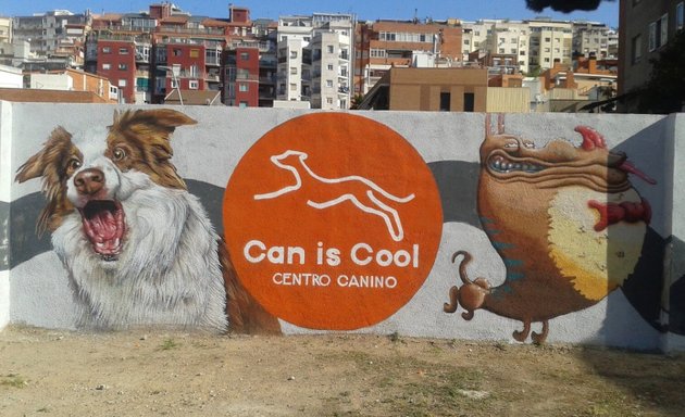 Foto de Can is Cool Centro Canino
