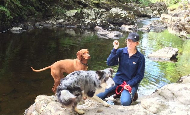 Photo of Woofs of Wimbledon