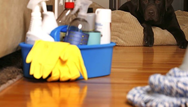 Photo of J T Cleaning Services