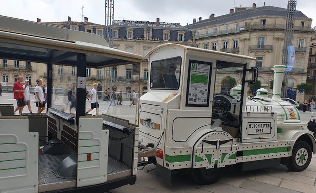 Photo de Le Petit Train de Montpellier