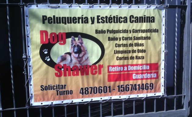 Foto de Dog Shawer