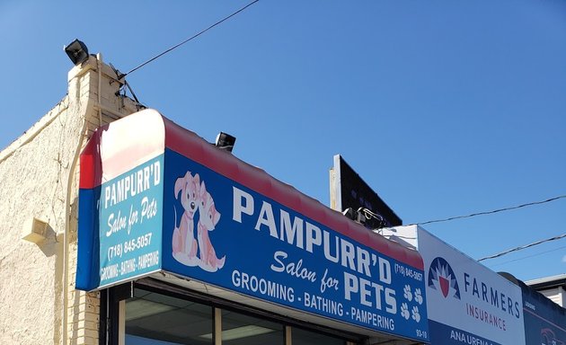 Photo of Pampurr'd Pets