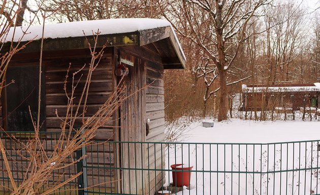 Foto von Grundschule