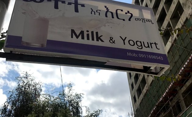 Photo of Milk & Yogurt