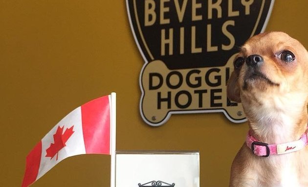 Photo of Beverly Hills Doggie Hotel