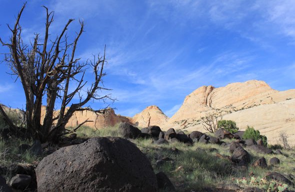 Photo de Prugne Françoise