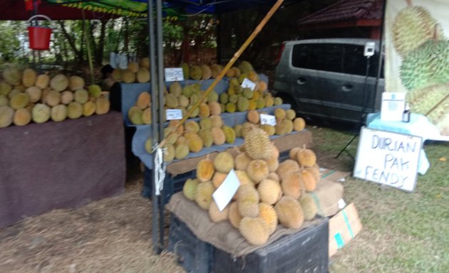 Photo of Fendy Durian bt 14