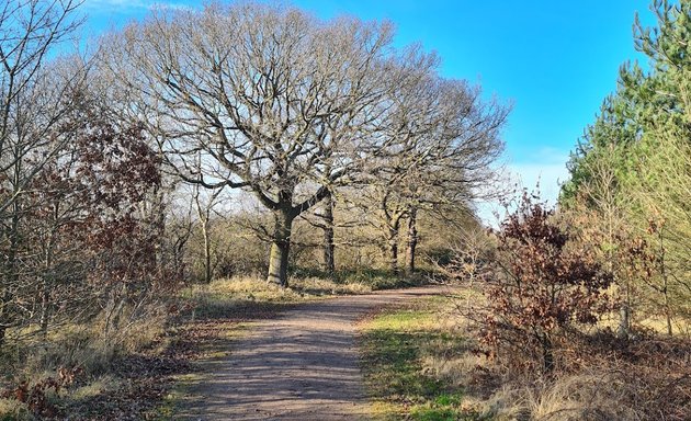 Photo of Folkes Lane Woodland Car Park