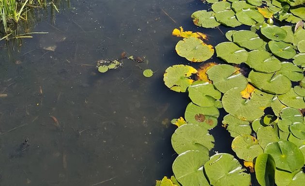 Photo de Jardins de Ouagadougou