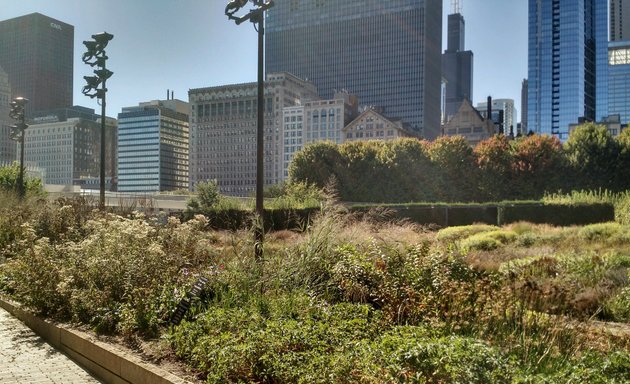 Photo of Lurie Garden