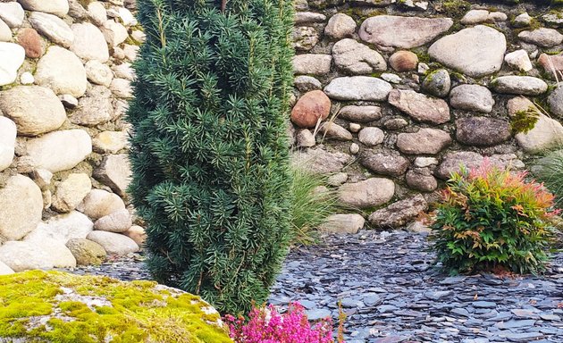 Foto de Jardinería Murias