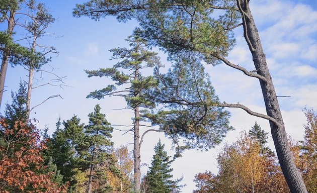 Photo of 53 Fleetview Trail Playground