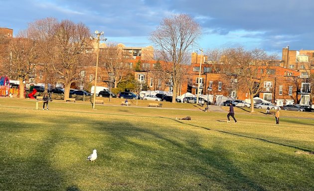 Photo of Cricket Pitch at Parc Van Horne