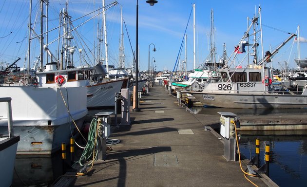 Photo of Carefree Boat Club Seattle