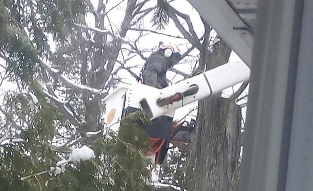 Photo of Stittsville Tree Service