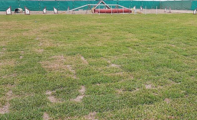 Foto de CENTRO DE ADIESTRAMIENTO CANINO - Escuela Canina ASTY - Sede Chorrillos